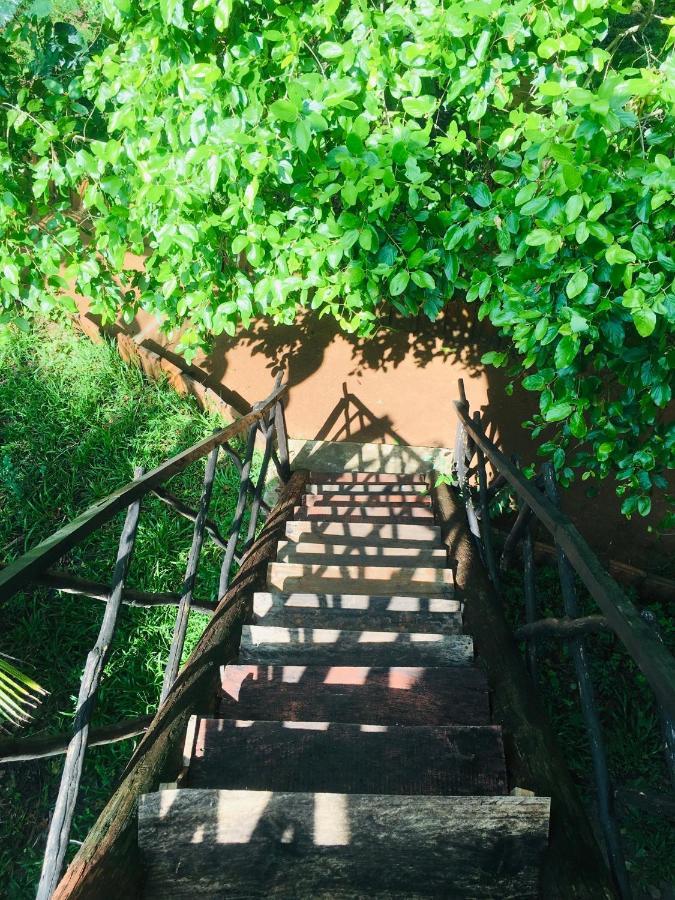 Tree House Hostel Сігірія Екстер'єр фото