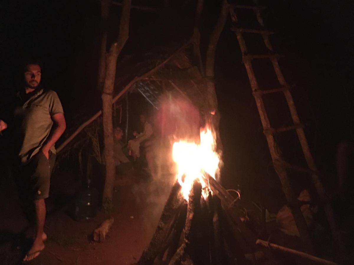 Tree House Hostel Сігірія Екстер'єр фото