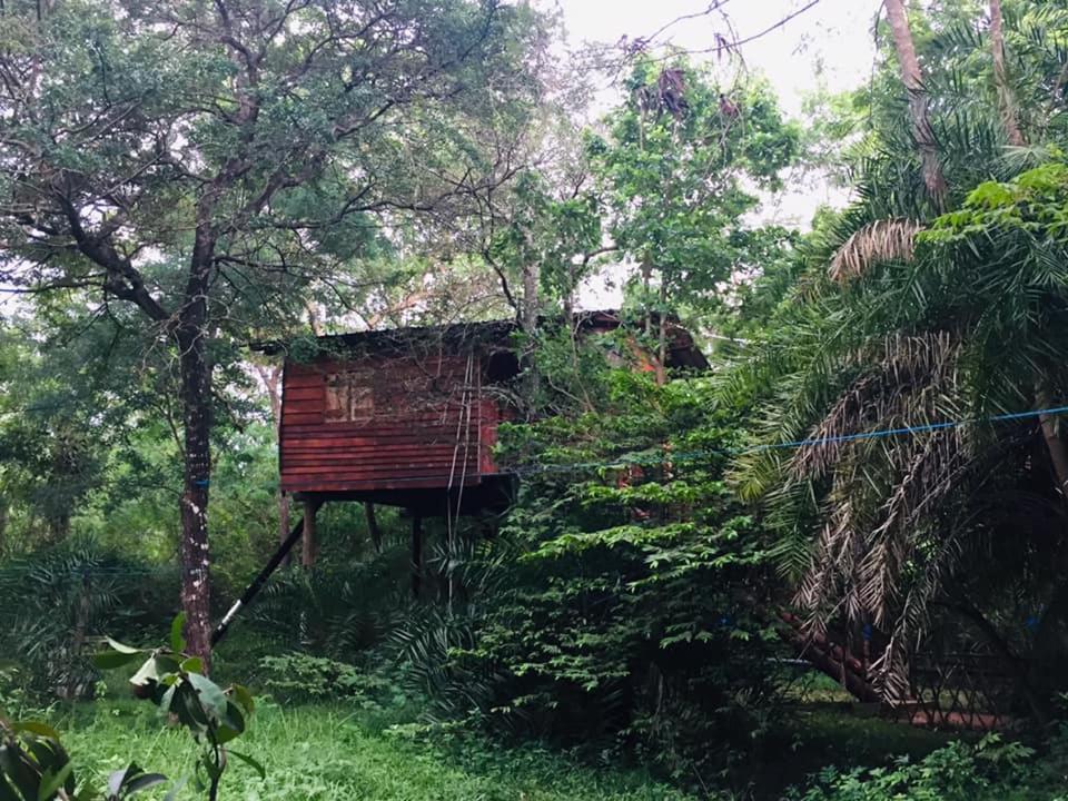Tree House Hostel Сігірія Екстер'єр фото