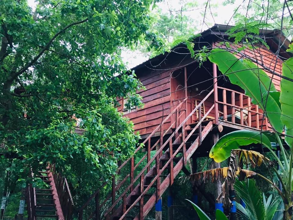 Tree House Hostel Сігірія Екстер'єр фото