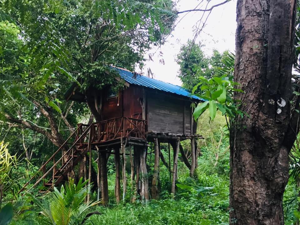 Tree House Hostel Сігірія Екстер'єр фото
