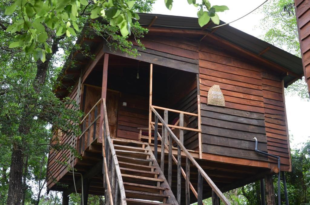 Tree House Hostel Сігірія Екстер'єр фото
